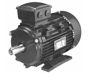 Электродвигатель CIB Unigas 112M-2P-B3/B14