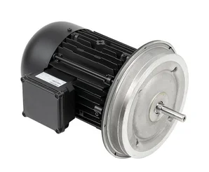 Электродвигатель Weishaupt W-D112/170-2/5K5