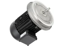 Электродвигатель Weishaupt W-D112/170-2/5K0