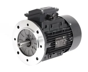 Электродвигатель CIB Unigas IMM 90 LB2, 2180256