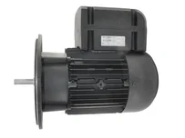 Электродвигатель Weishaupt W-D112/170-2/4K5