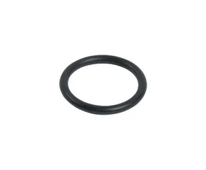 Уплотнительное кольцо Viessmann 20.63 x 2.62, 7815765