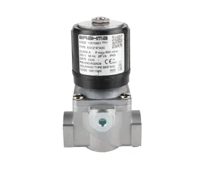 Газовый электромагнитный клапан Brahma EG12*A*A3C 13870501