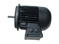 Электродвигатель Weishaupt W-D160/240-2/16K0