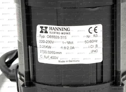Электродвигатель Hanning OE6B2B-315