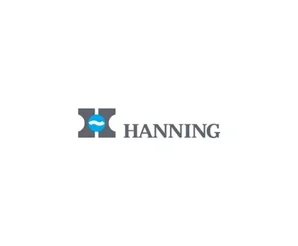 Электродвигатель Hanning O1A095-050P0020-036-001OF0-655