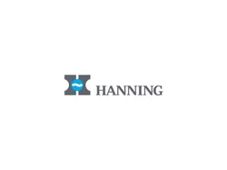 Электродвигатель Hanning OE7D2B-008 450 Вт