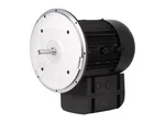 Электродвигатель Weishaupt WM-D112/140-2/3K5, 21520407300
