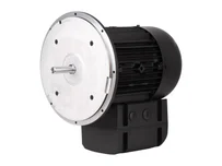 Электродвигатель Weishaupt WM-D112/140-2/3K5, 21520407300