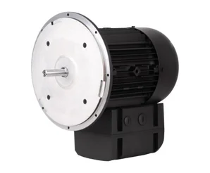 Электродвигатель Weishaupt WM-D112/140-2/3K5, 21520407300