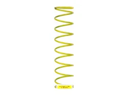 Пружина Weishaupt DN 50 / Rp 2", 490131