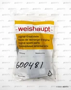 Жидкокристаллический дисплей Weishaupt AM25 V1.0